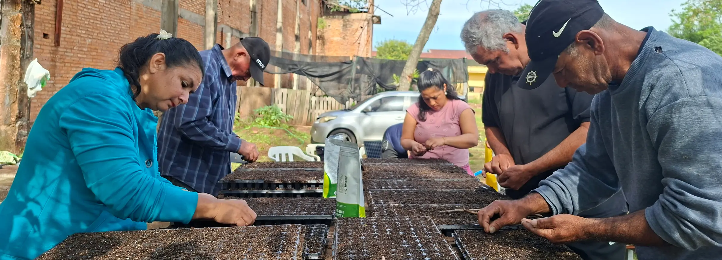Productores e invernaderos
